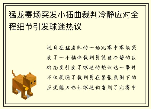 猛龙赛场突发小插曲裁判冷静应对全程细节引发球迷热议