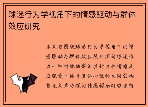 球迷行为学视角下的情感驱动与群体效应研究